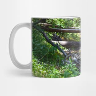 Mountain hike Mug